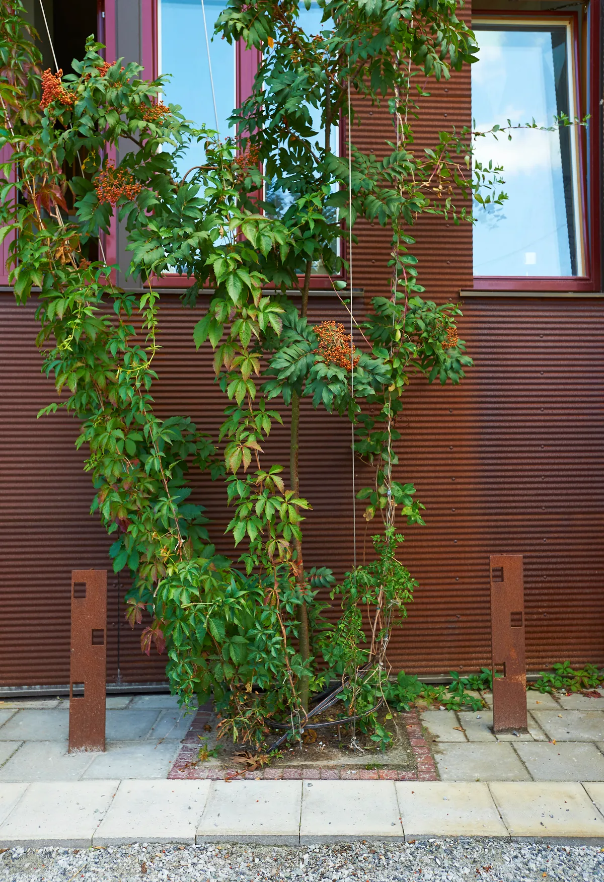 Hyreslägenhet på Malmö i malmo