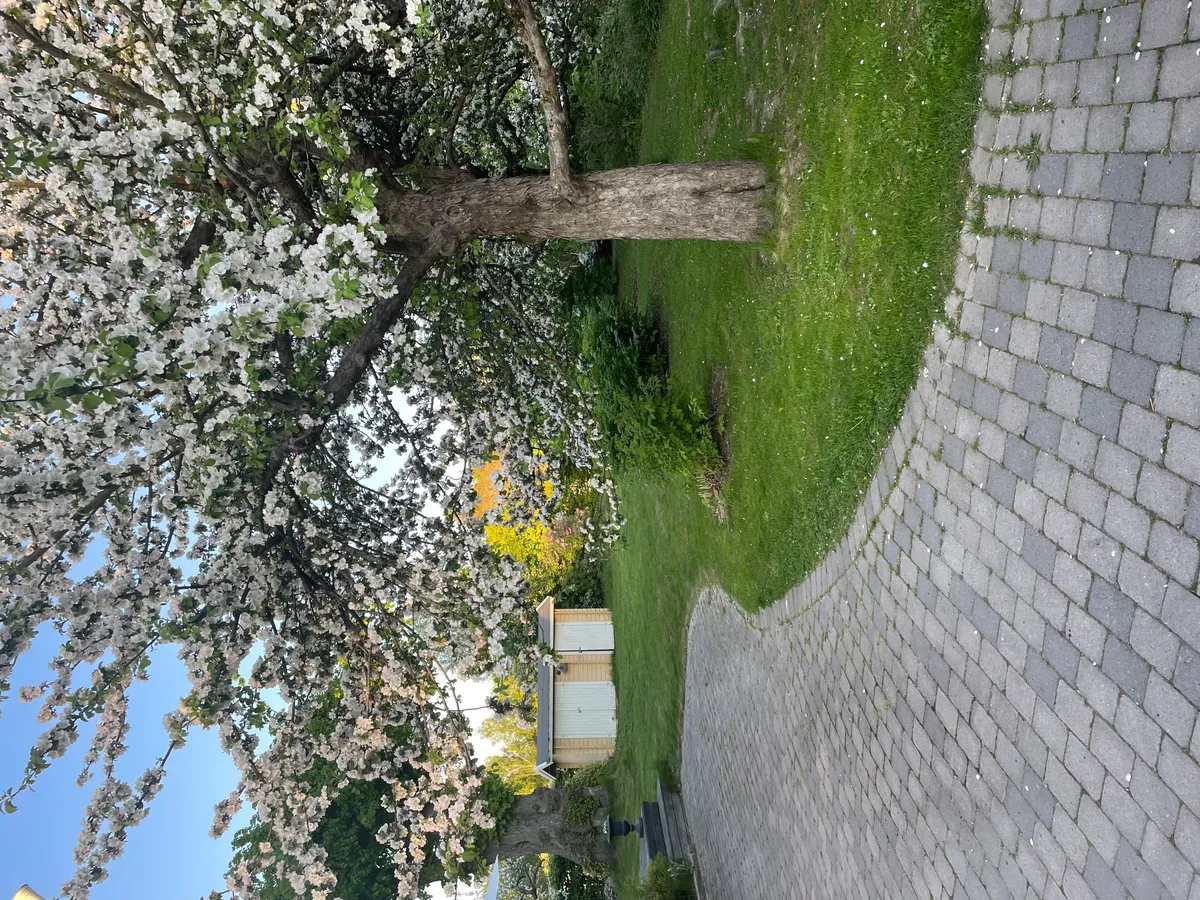 Hyresbostad på Södertälje i sodertalje