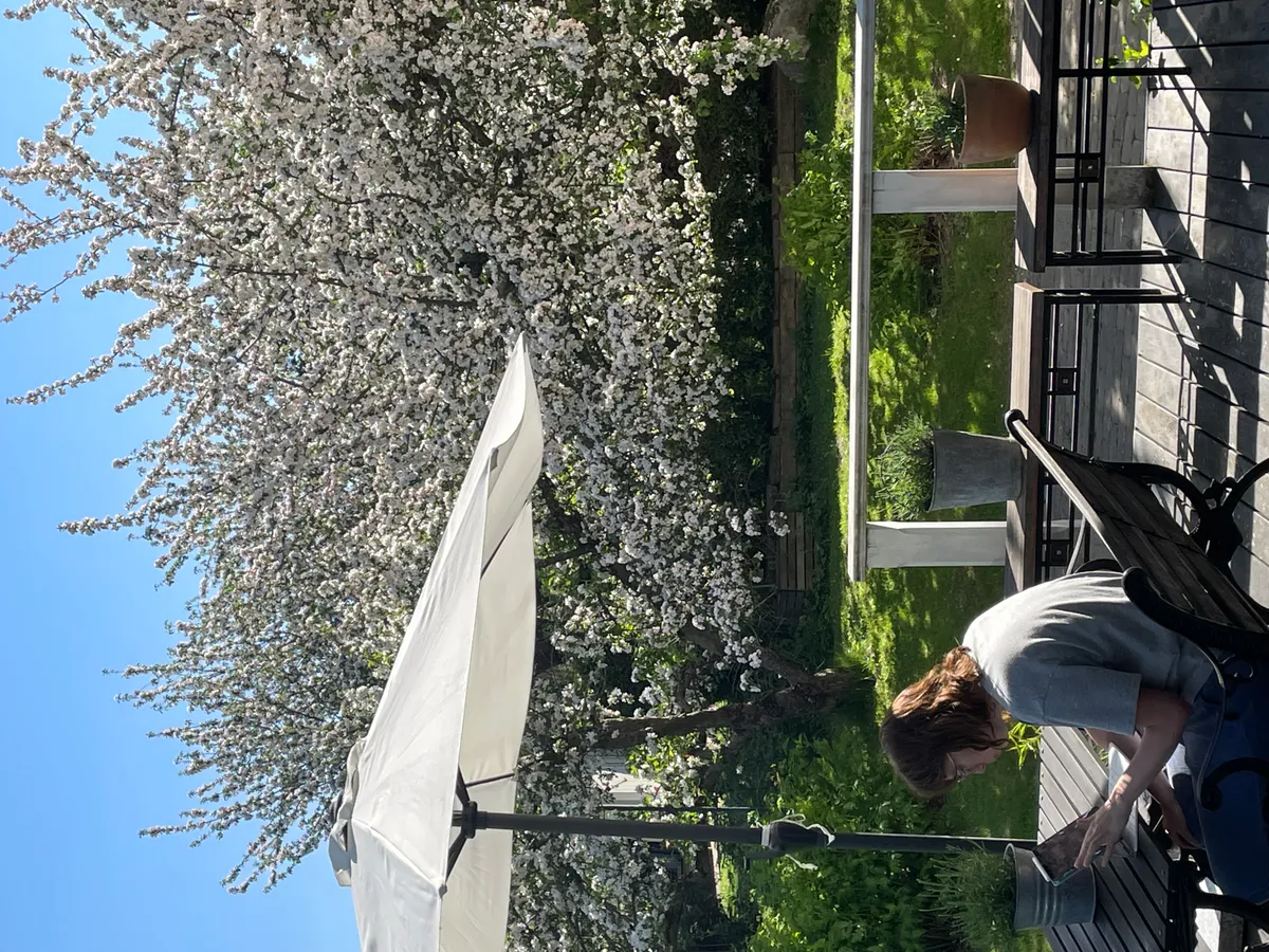 Hyresbostad på Södertälje i sodertalje