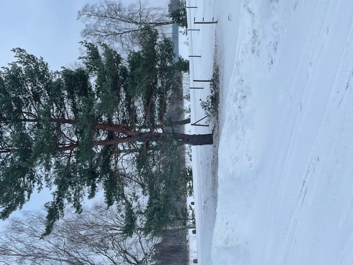 Hyreslägenhet på Karlstad i karlstad