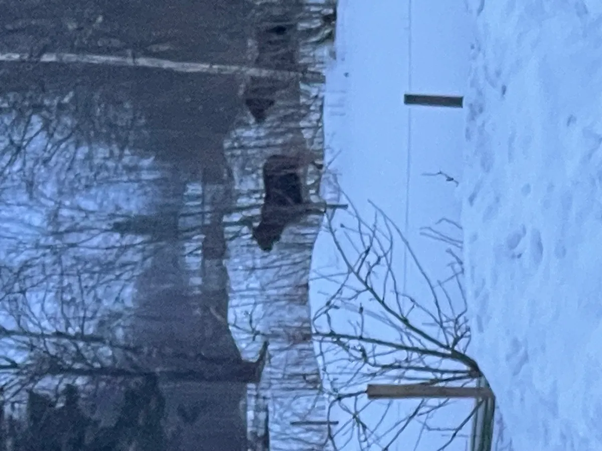 Hyreslägenhet på Karlstad i karlstad