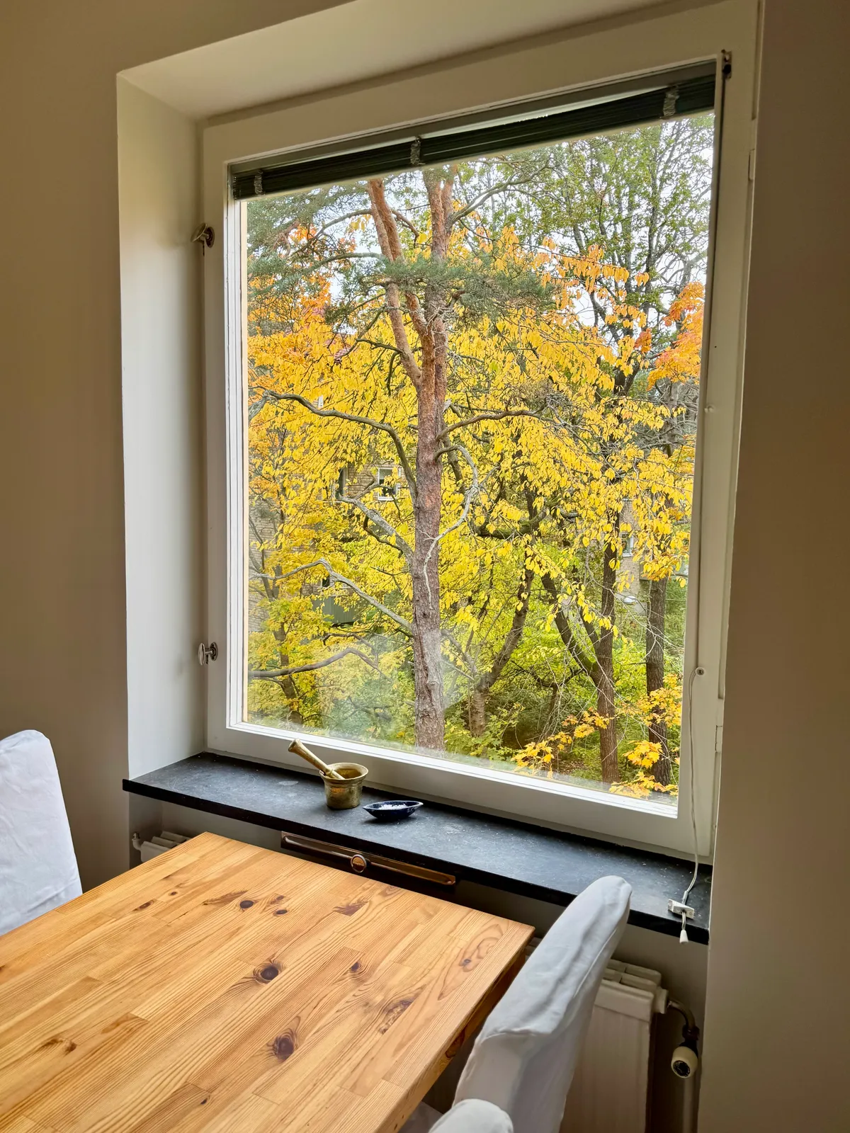 Hyreslägenhet på Bromma i bromma