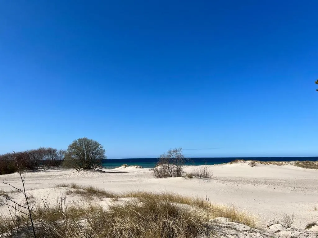 Hyresbostad på Gotlands Tofta i gotlands-tofta
