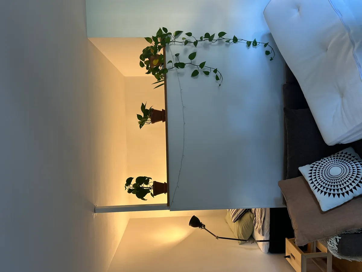 Hyreslägenhet på Växjö i vaxjo