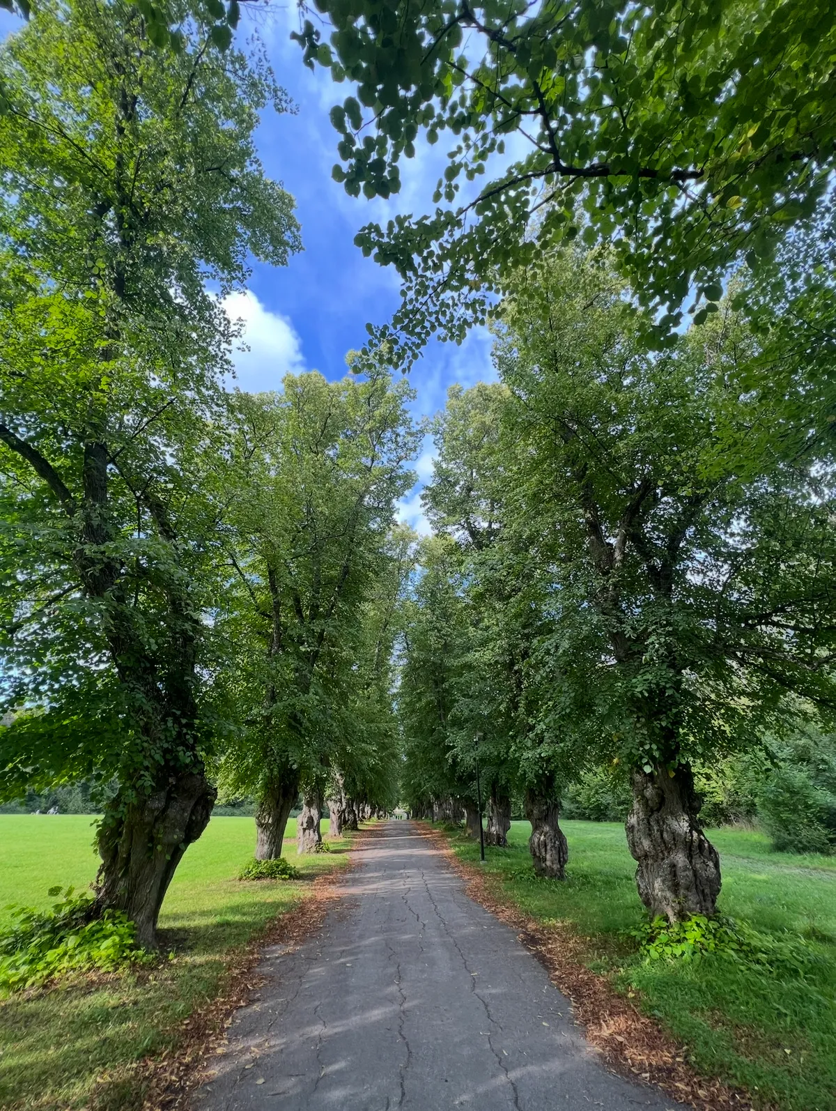 Hyreslägenhet på Bromma i bromma