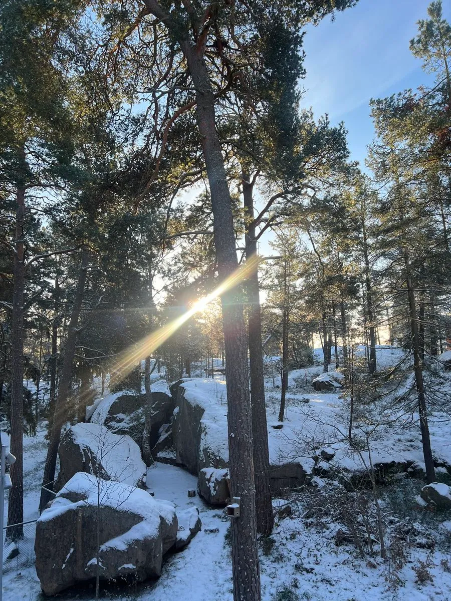 Hyreslägenhet på Bromma i bromma