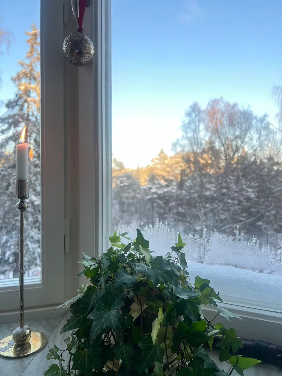 Hyreslägenhet på Bromma i bromma