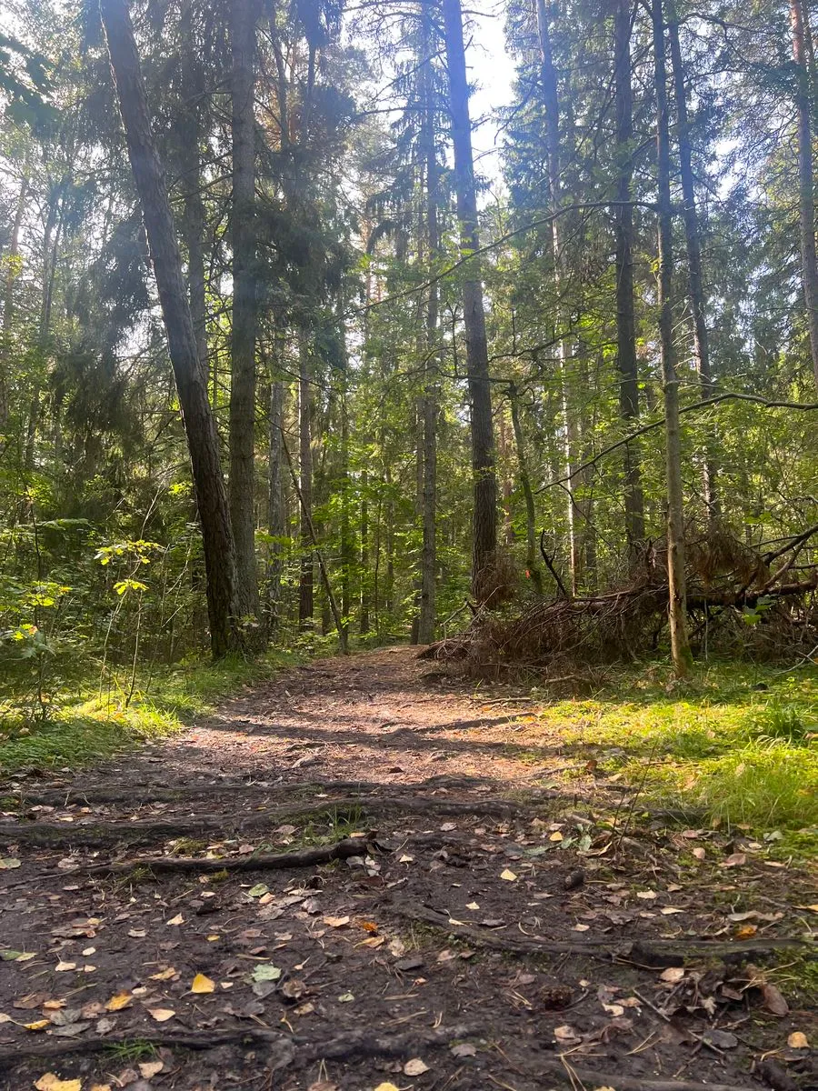 Hyreslägenhet på Bromma i bromma