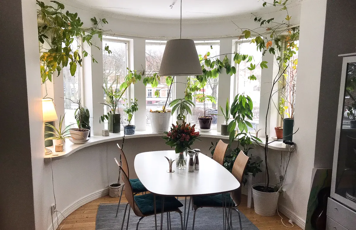 Hyreslägenhet på Halmstad i halmstad