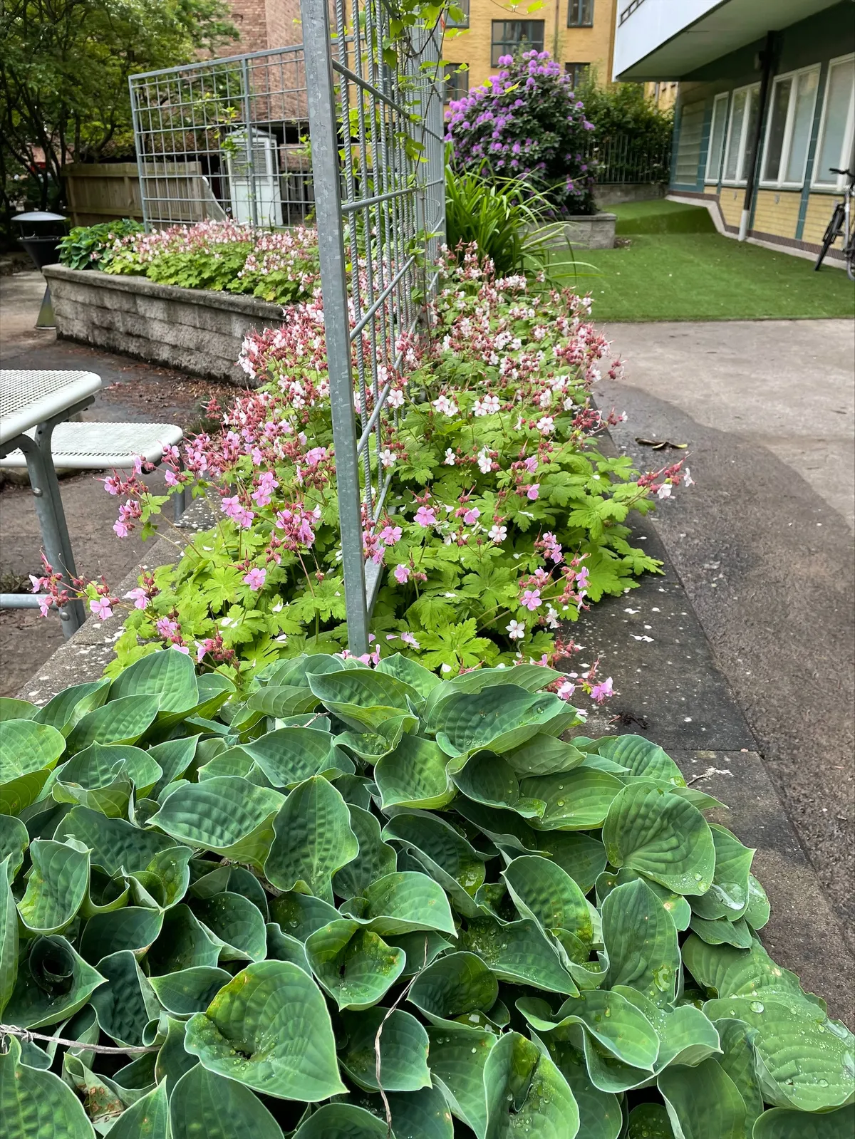 Hyreslägenhet på Halmstad i halmstad