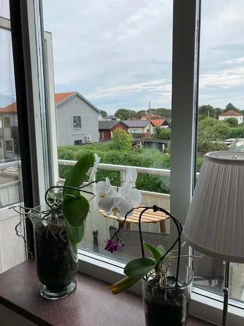 Hyreslägenhet på Landskrona i landskrona