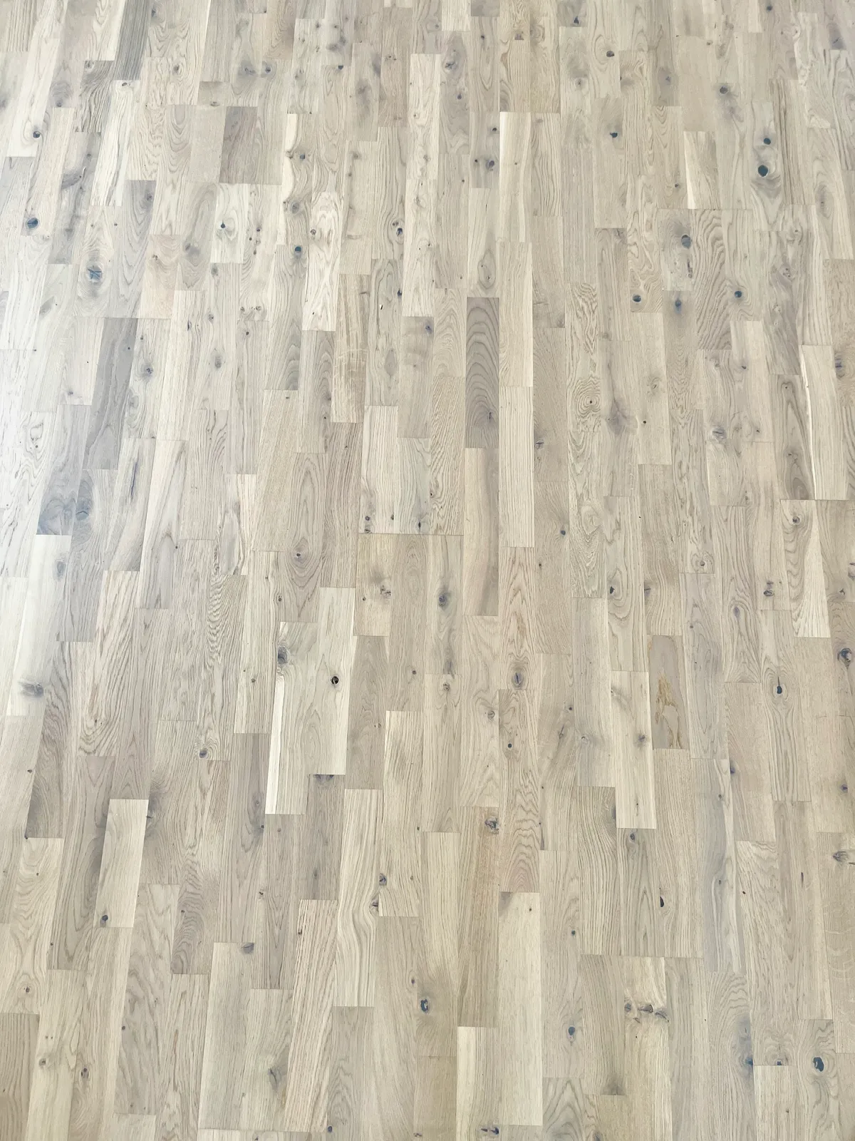 Hyreslägenhet på Halmstad i halmstad