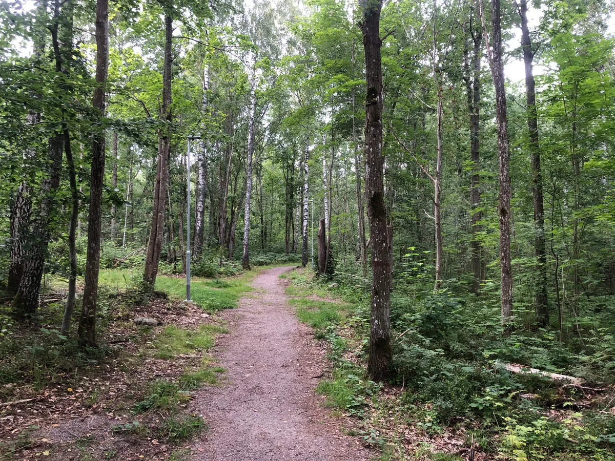 Hyreslägenhet på Norrköping i norrkoping