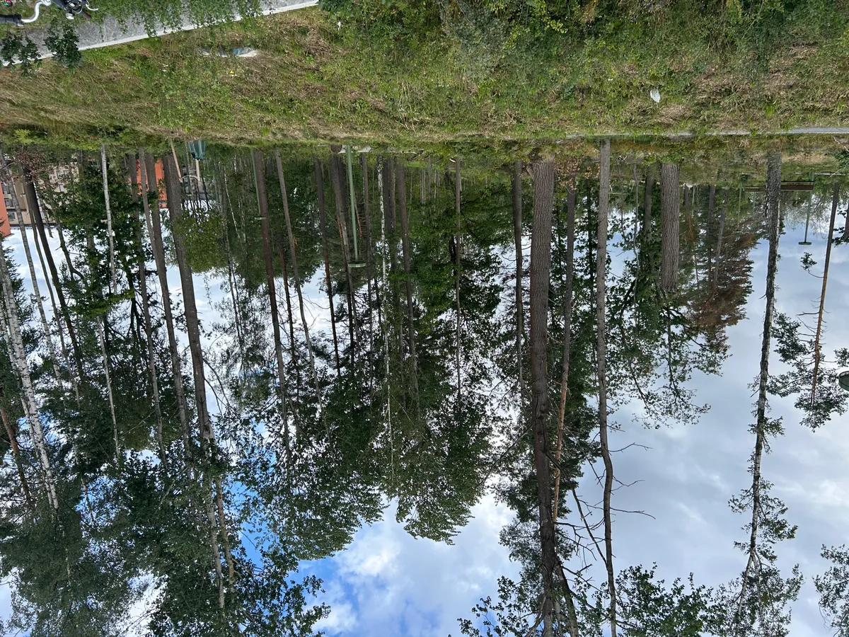 Hyreslägenhet på Solna i solna