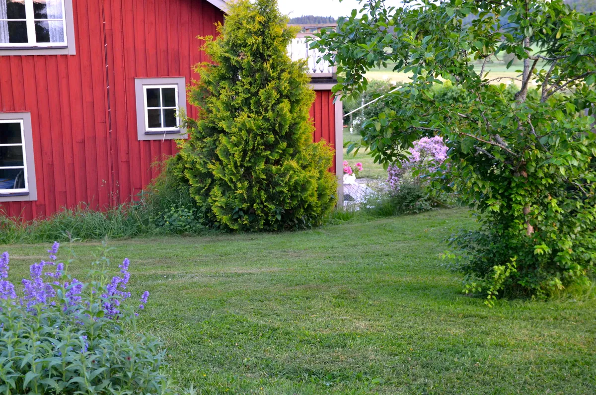 Hyresbostad på Tystberga i tystberga