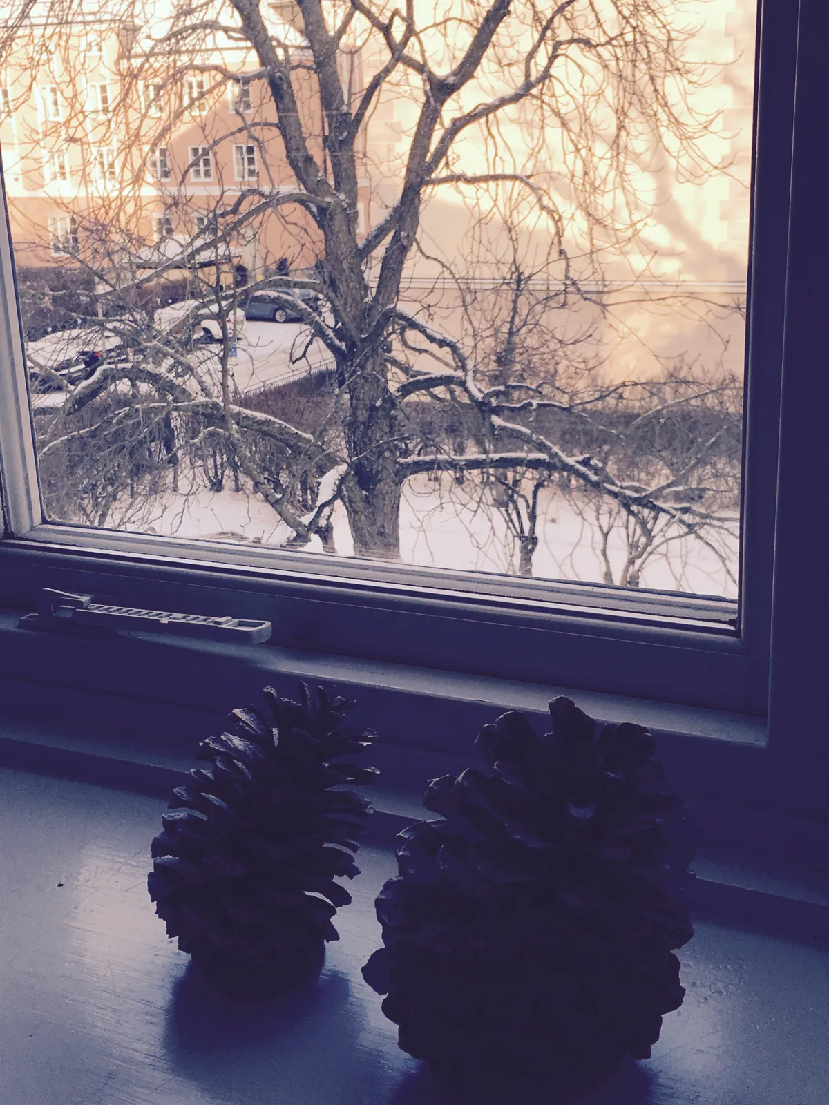 Hyreslägenhet på Uppsala i uppsala