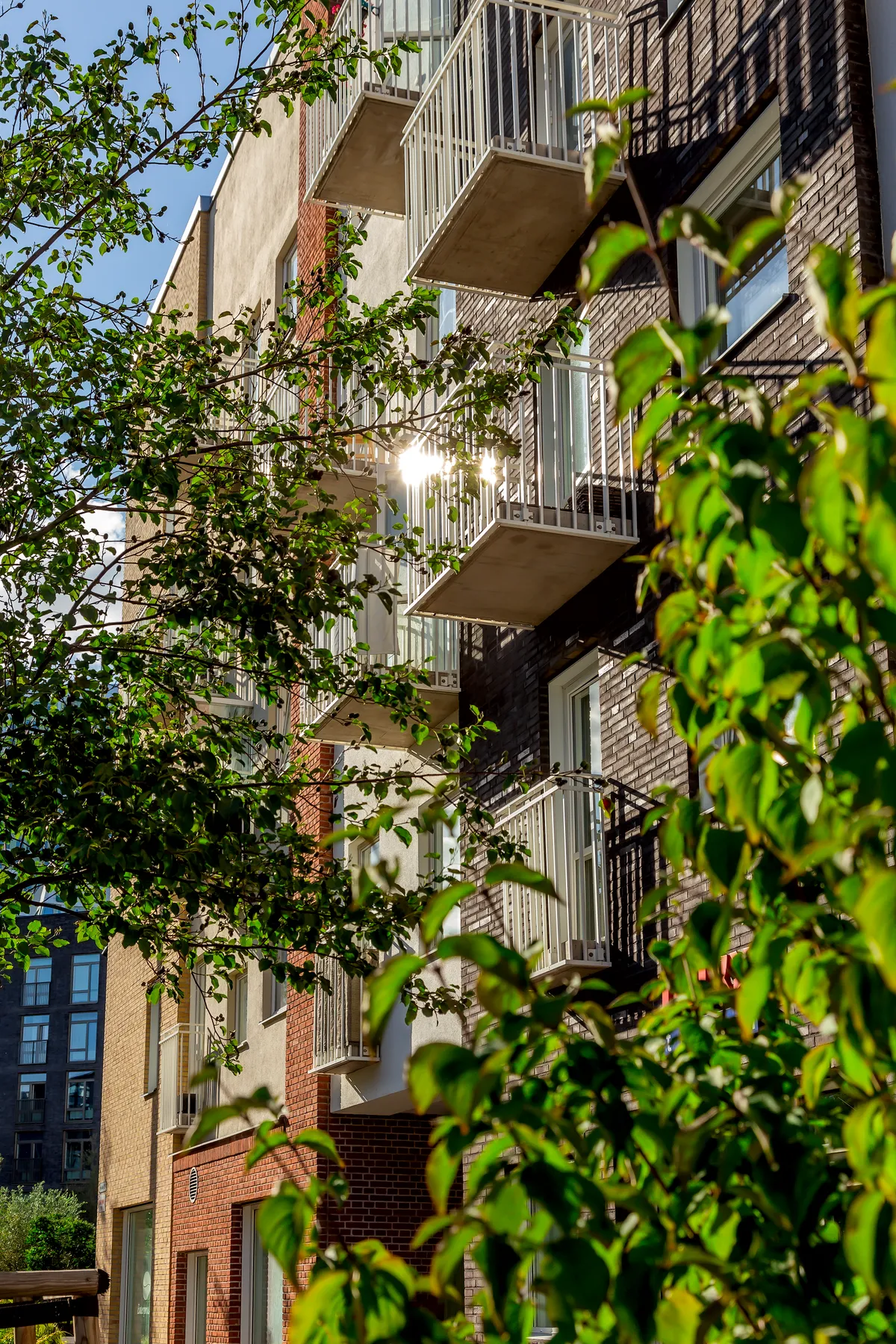 Hyreslägenhet på Malmö i malmo