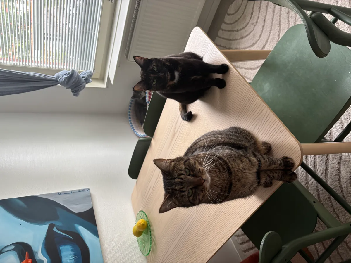 Hyreslägenhet på Göteborg i goteborg