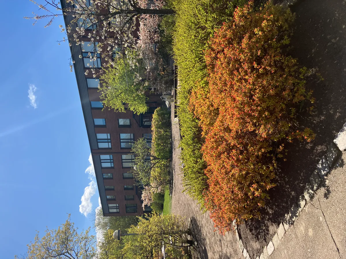 Hyreslägenhet på Helsingborg i helsingborg