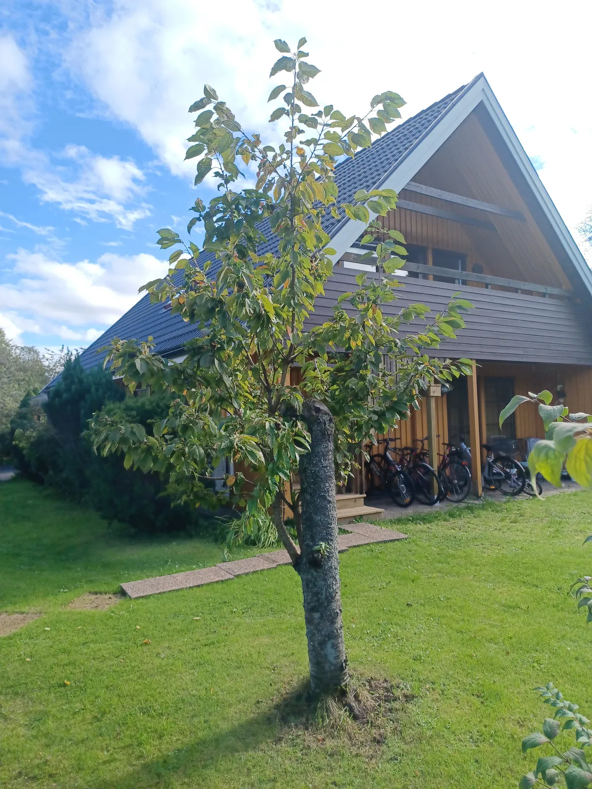 Hyresbostad på Göteborg i goteborg