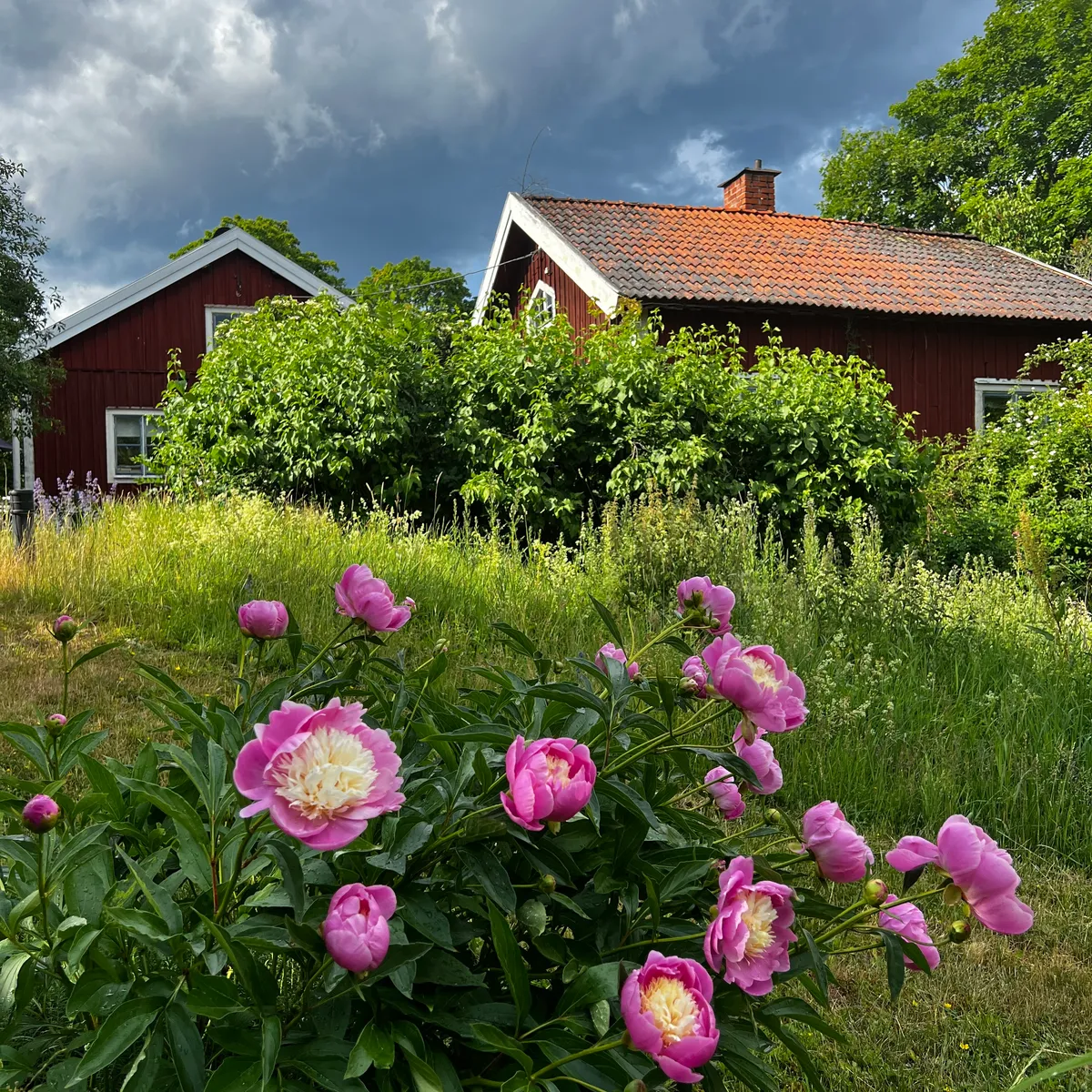 Hyresbostad på Tystberga i tystberga