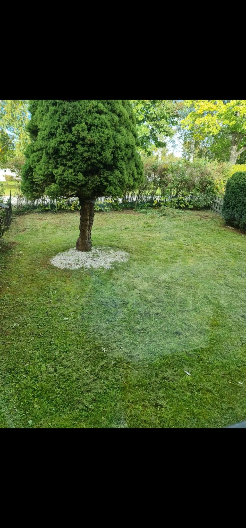 Hyresbostad på Kumla i kumla