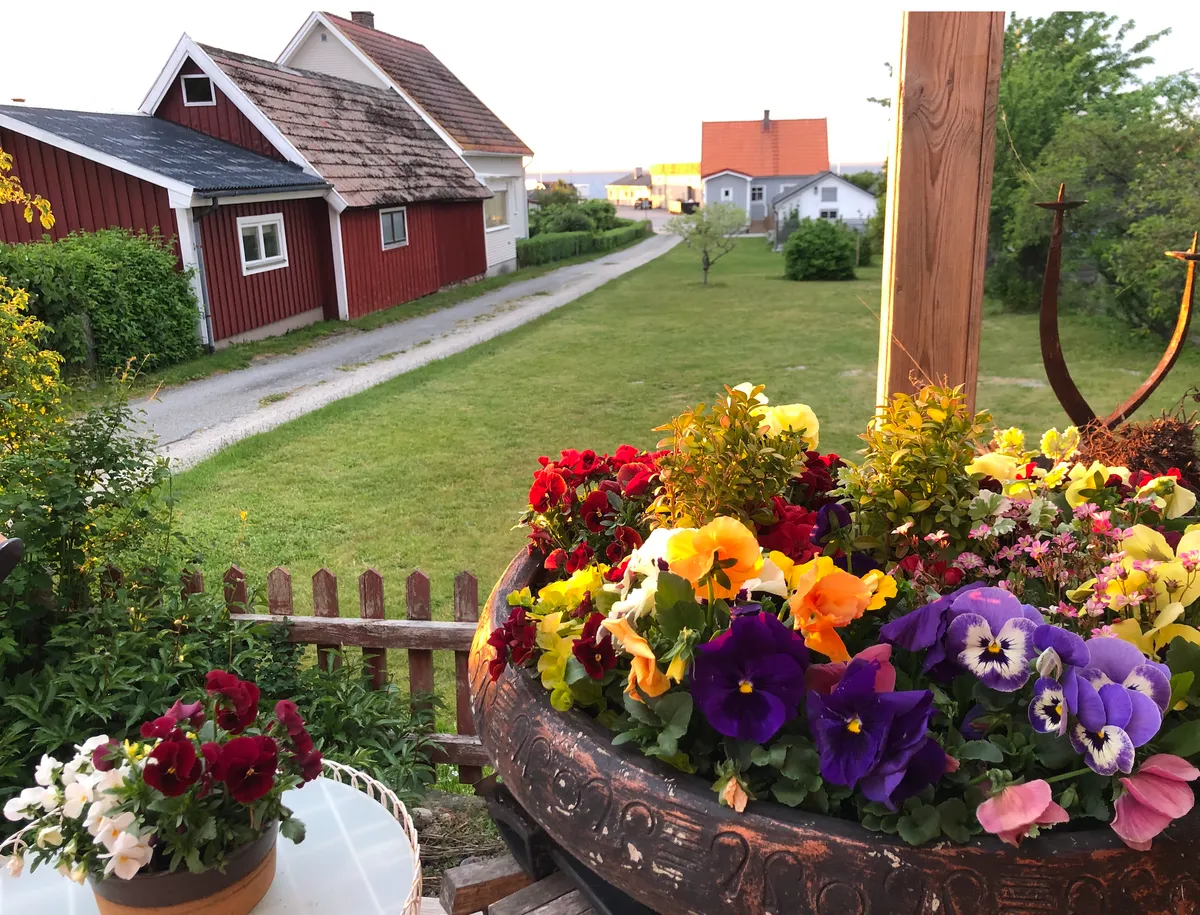 Hyresbostad på Sölvesborg i solvesborg