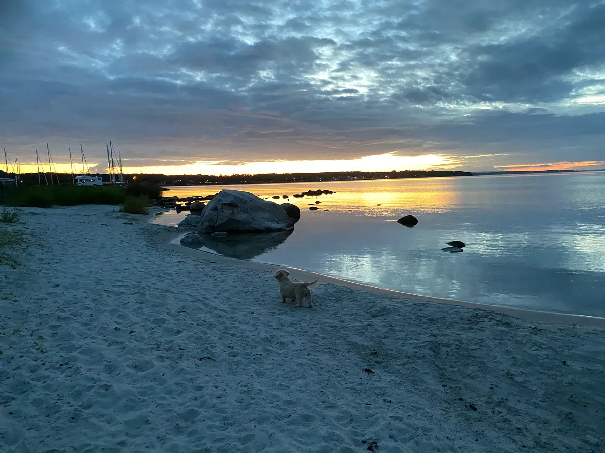 Hyresbostad på Sölvesborg i solvesborg