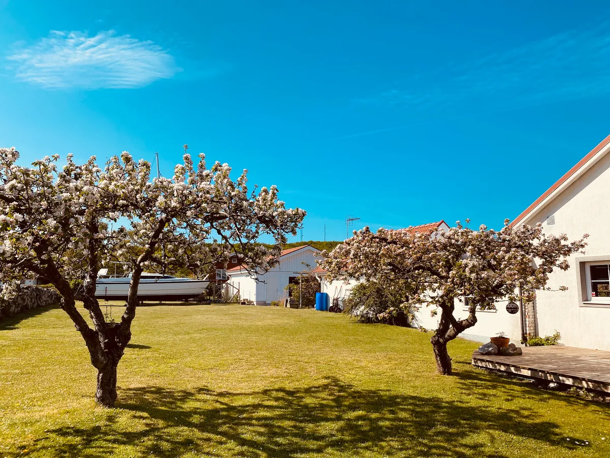 Hyresbostad på Sölvesborg i solvesborg