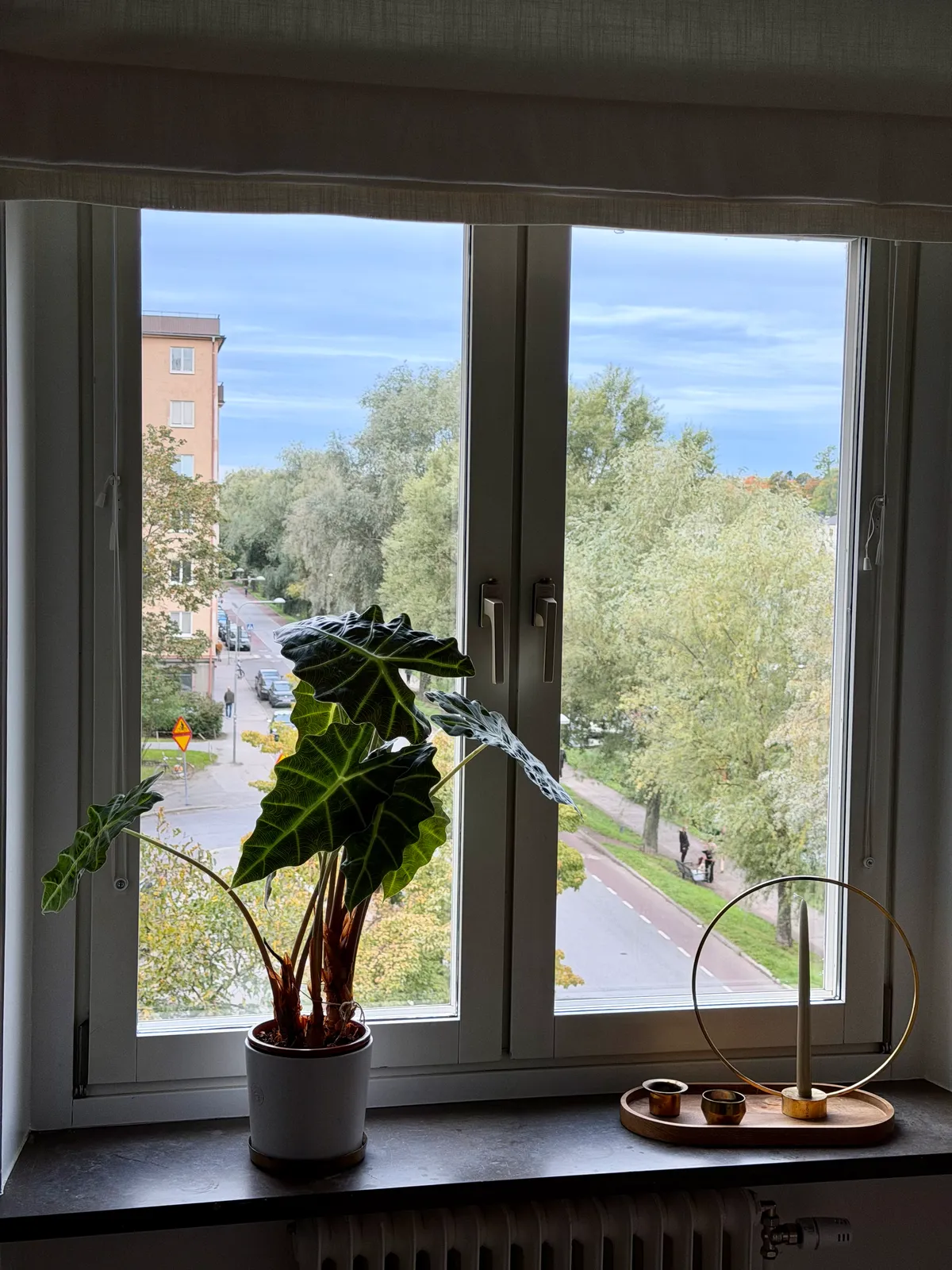 Hyreslägenhet på Stockholm i stockholm