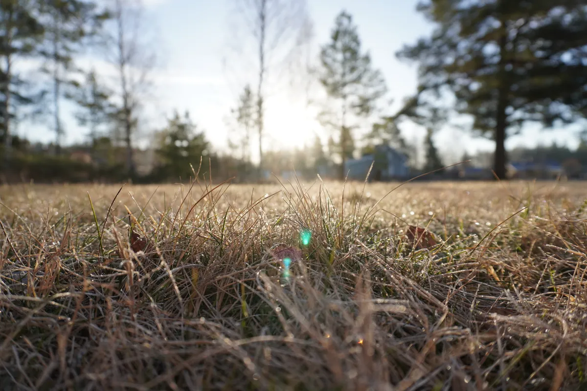 Hyreslägenhet på Rosenfors i rosenfors