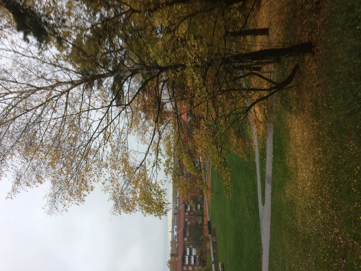 Hyreslägenhet på Märsta i marsta