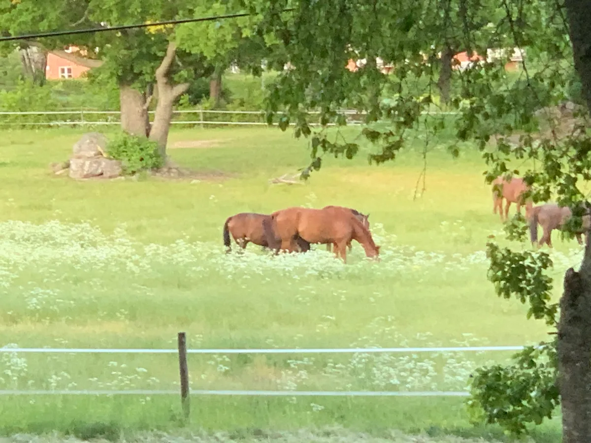 Hyreslägenhet på Djursholm i djursholm