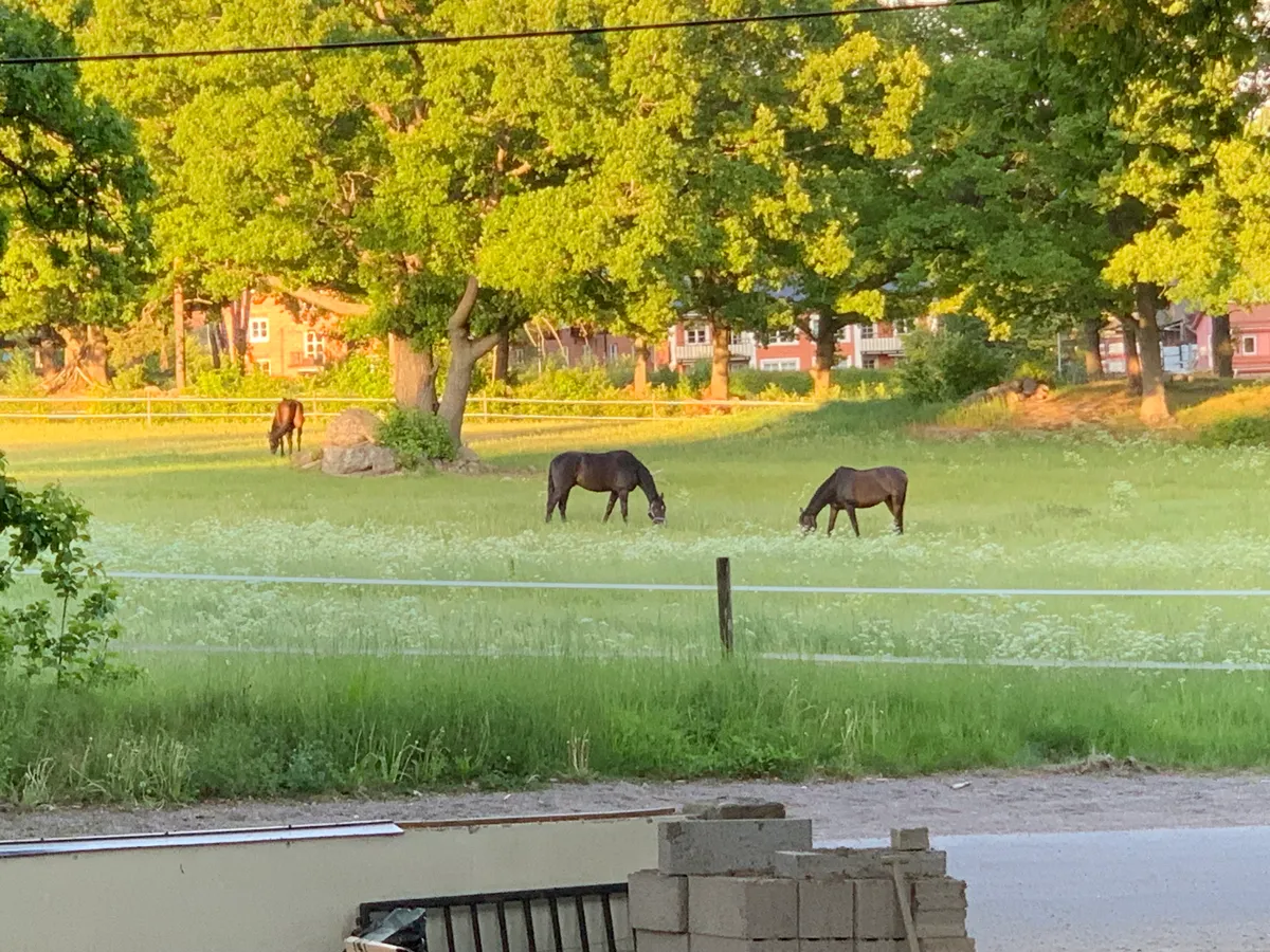 Hyreslägenhet på Djursholm i djursholm