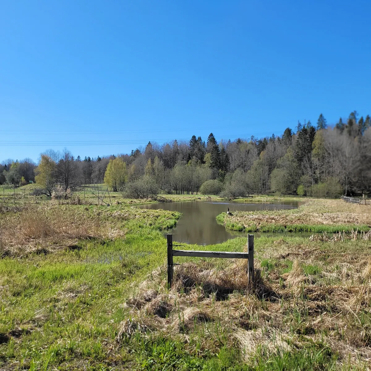 Hyresbostad på Huddinge i huddinge