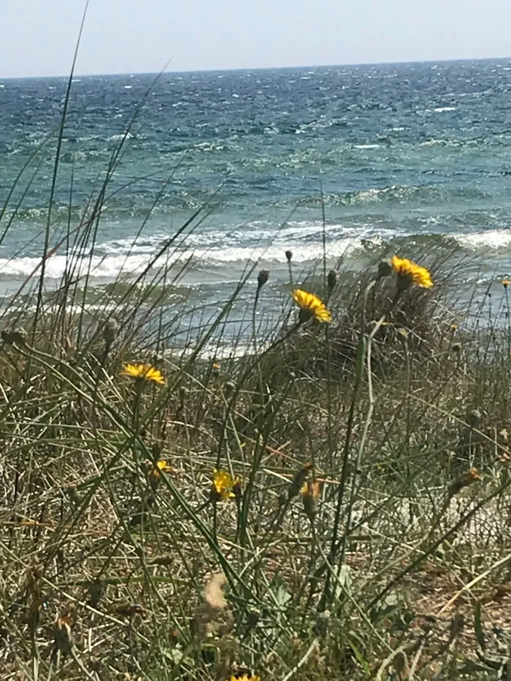 Hyresbostad på Höllviken i hollviken