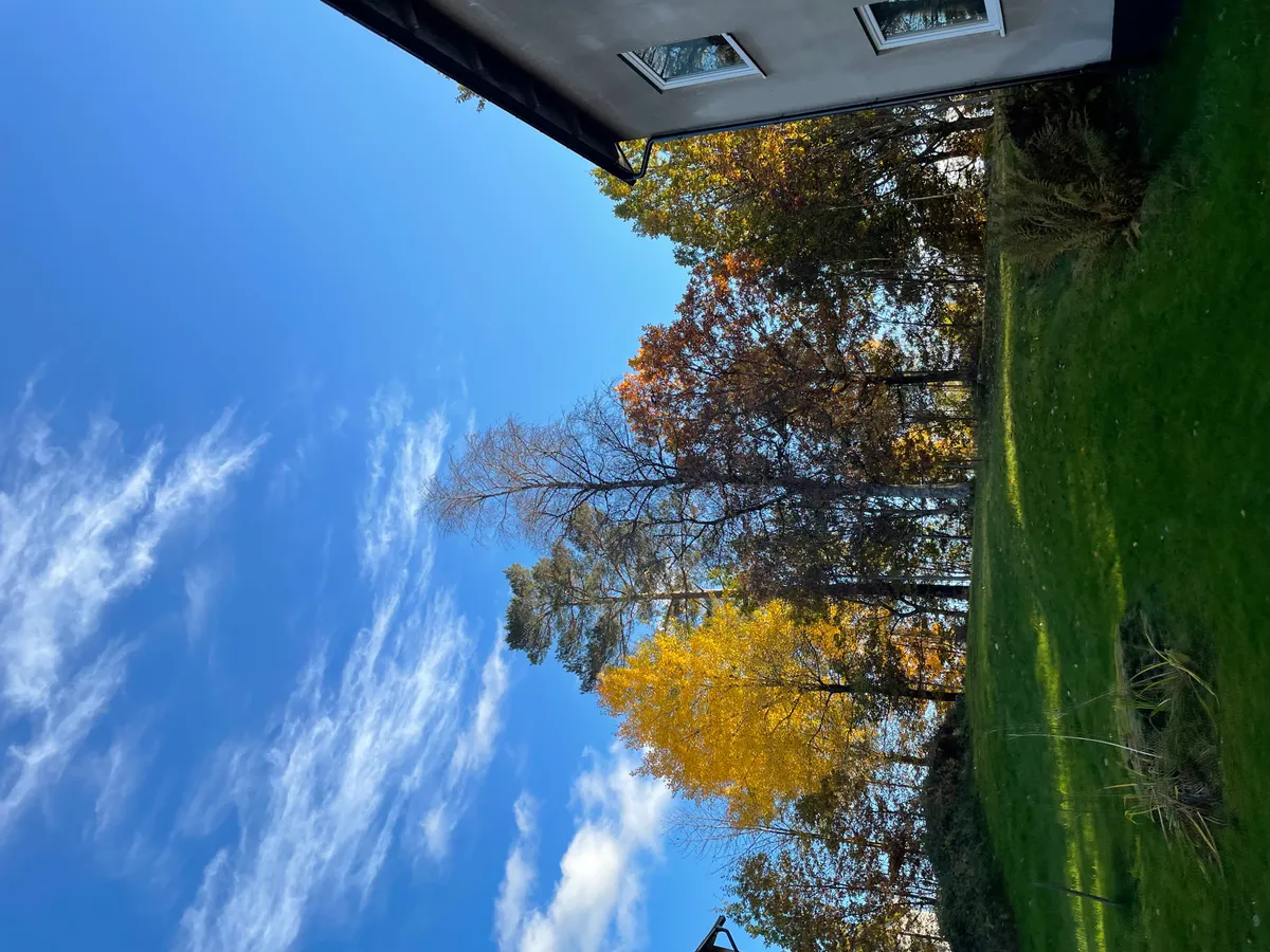 Hyreslägenhet på Borås i boras