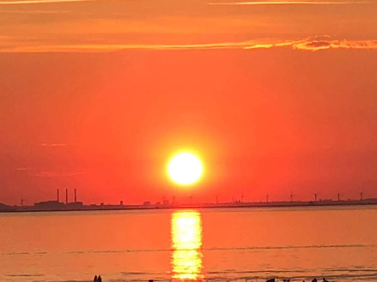 Hyreslägenhet på Malmö i malmo