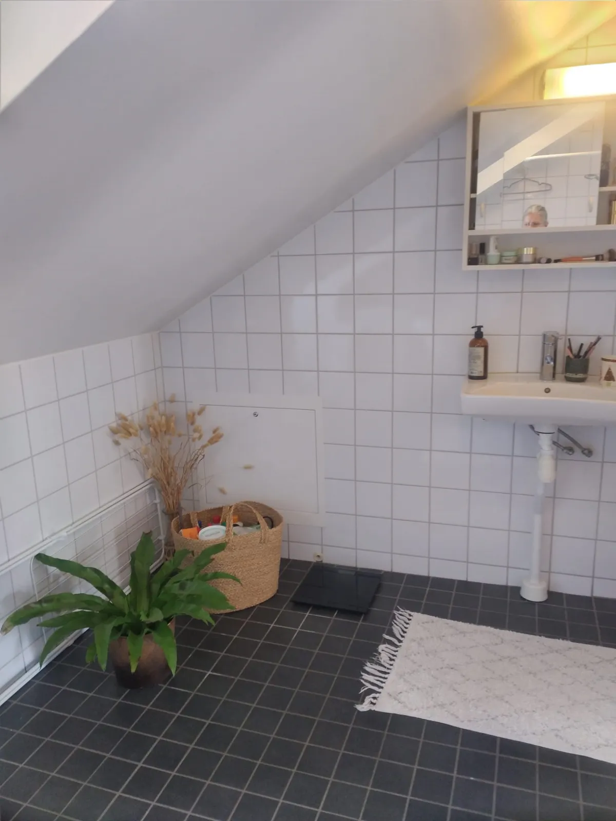 Hyreslägenhet på Helsingborg i helsingborg