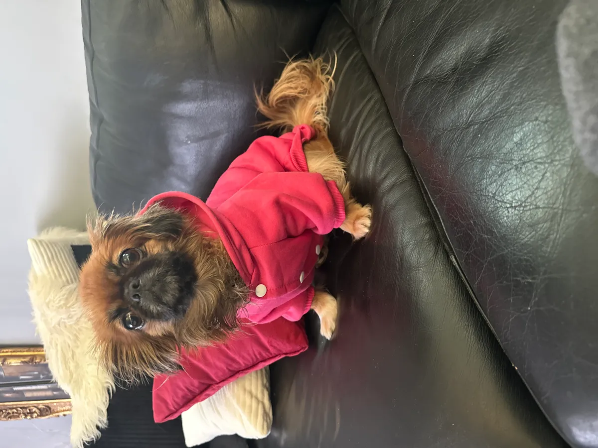 Hyreslägenhet på Västerås i vasteras