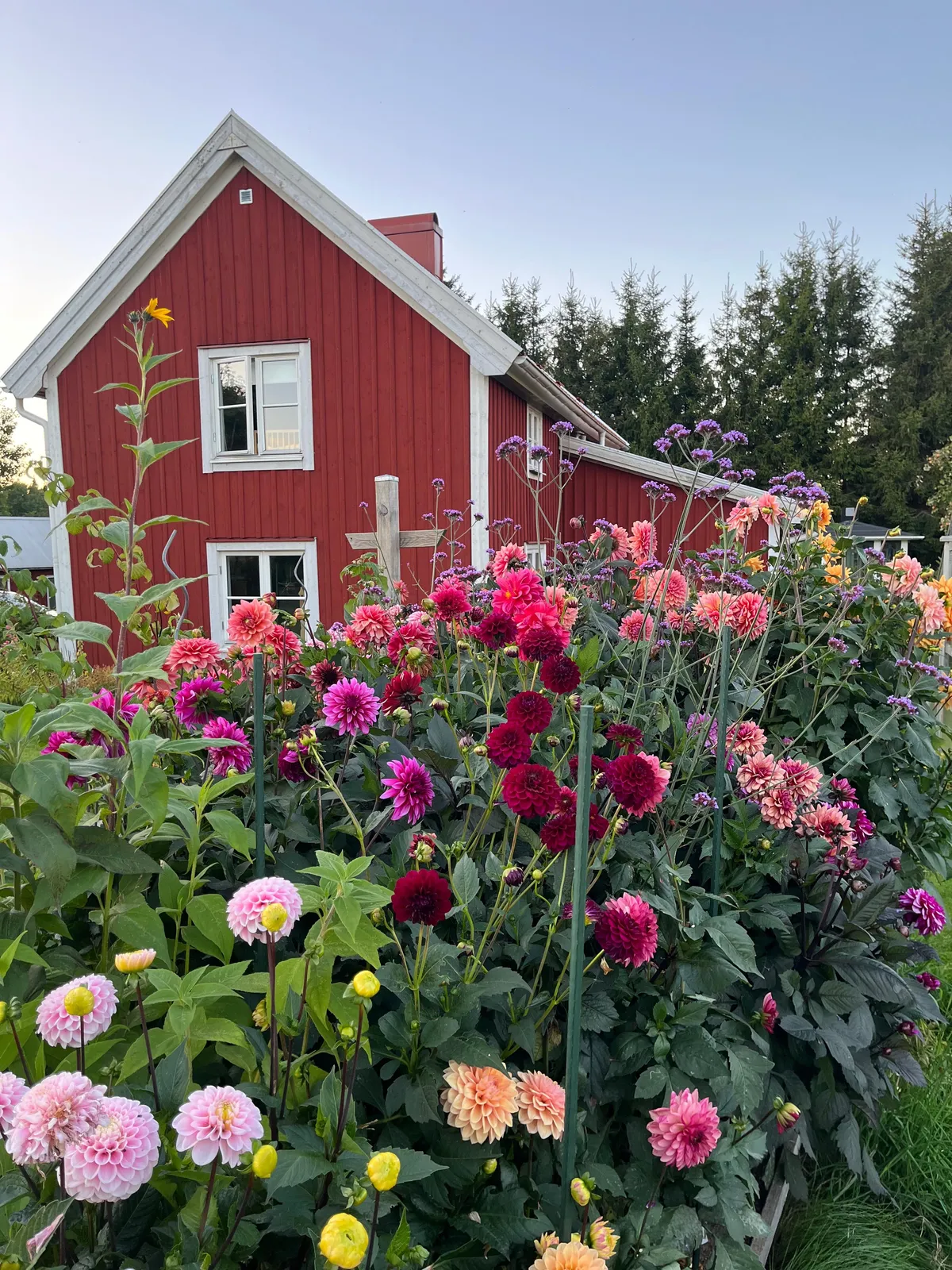Hyresbostad på Ulricehamn i ulricehamn