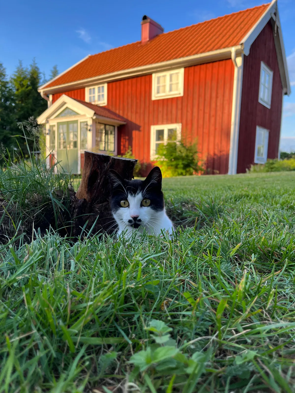 Hyresbostad på Ulricehamn i ulricehamn