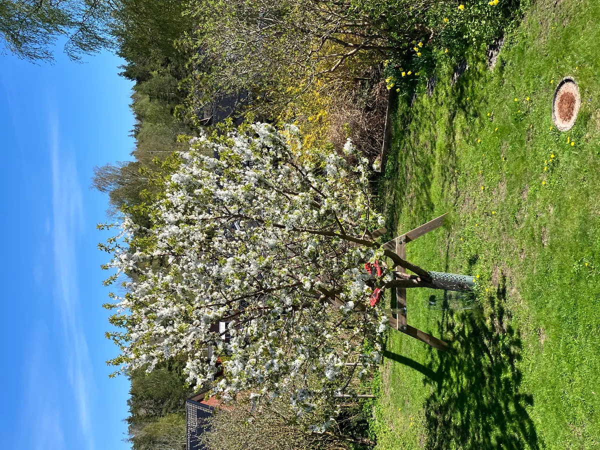Hyresbostad på Tyresö i tyreso