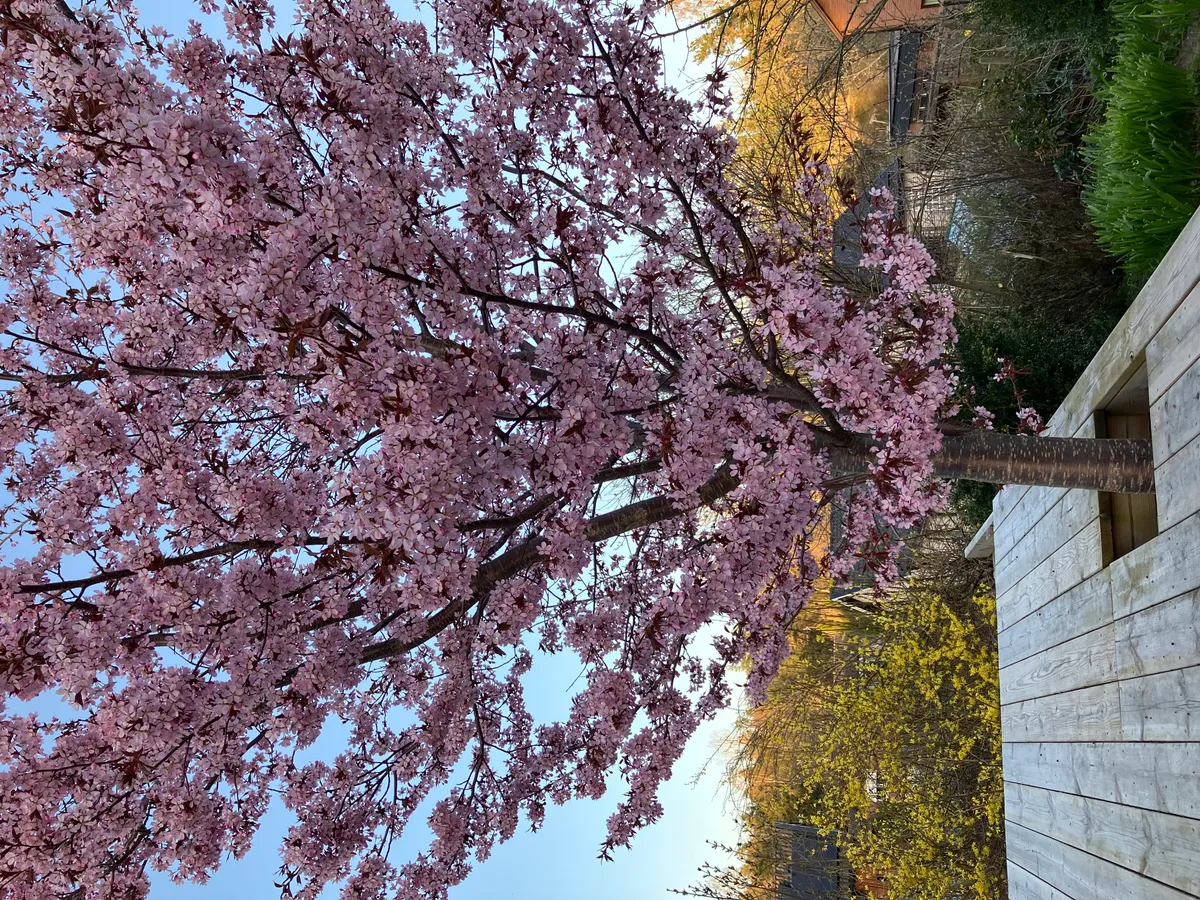 Hyresbostad på Tyresö i tyreso
