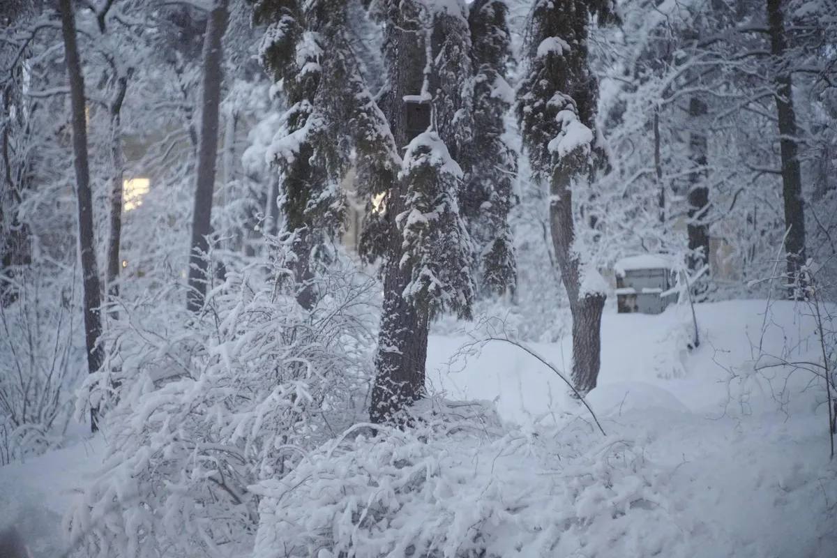 Hyreslägenhet på Bromma i bromma