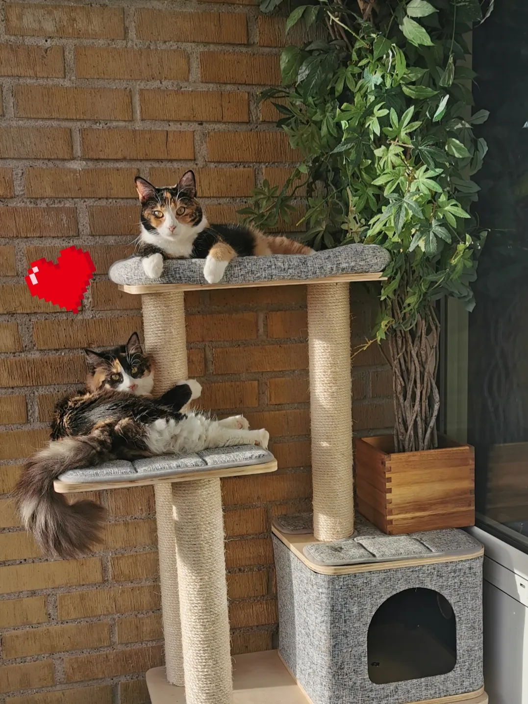 Hyreslägenhet på Malmö i malmo