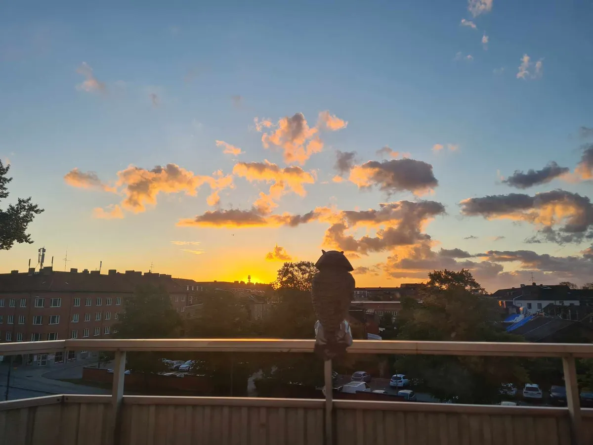 Hyreslägenhet på Malmö i malmo