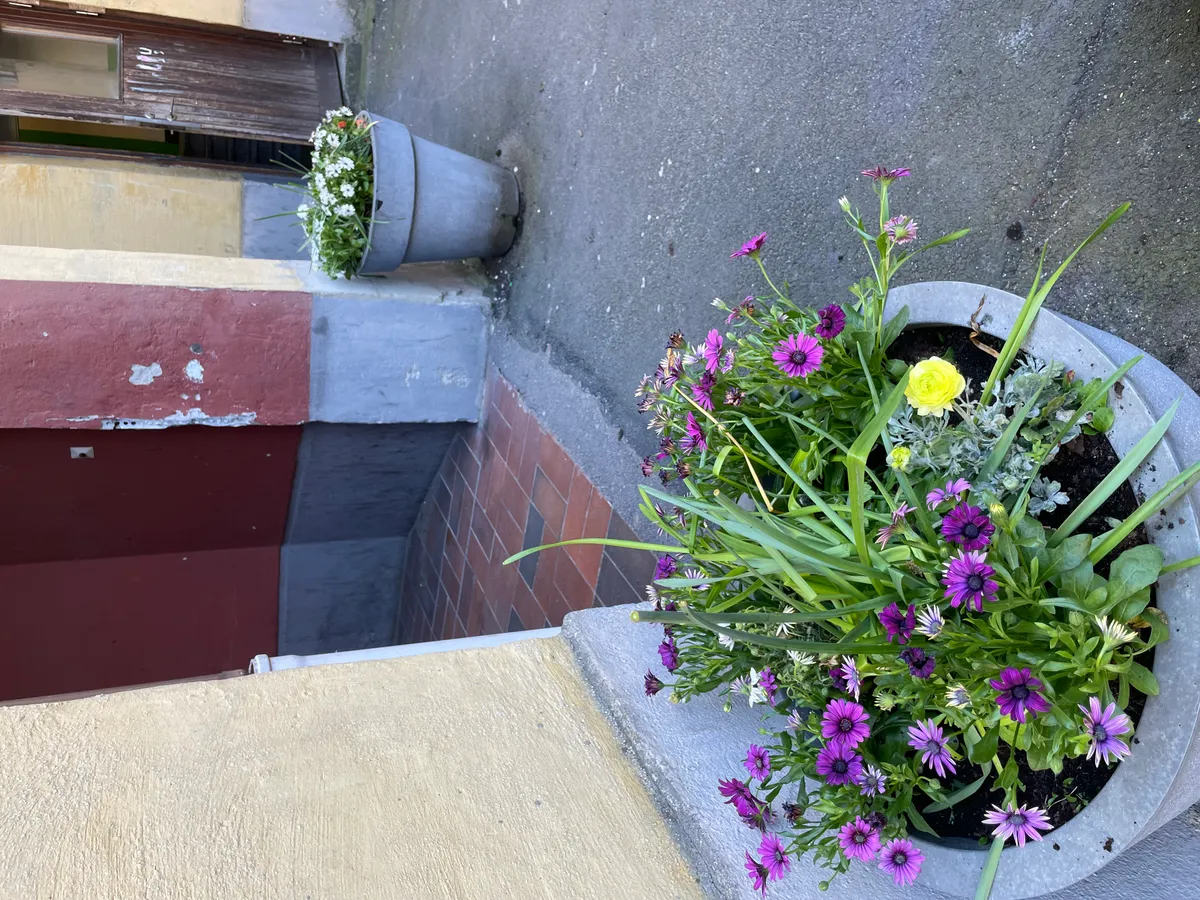 Hyreslägenhet på Malmö i malmo