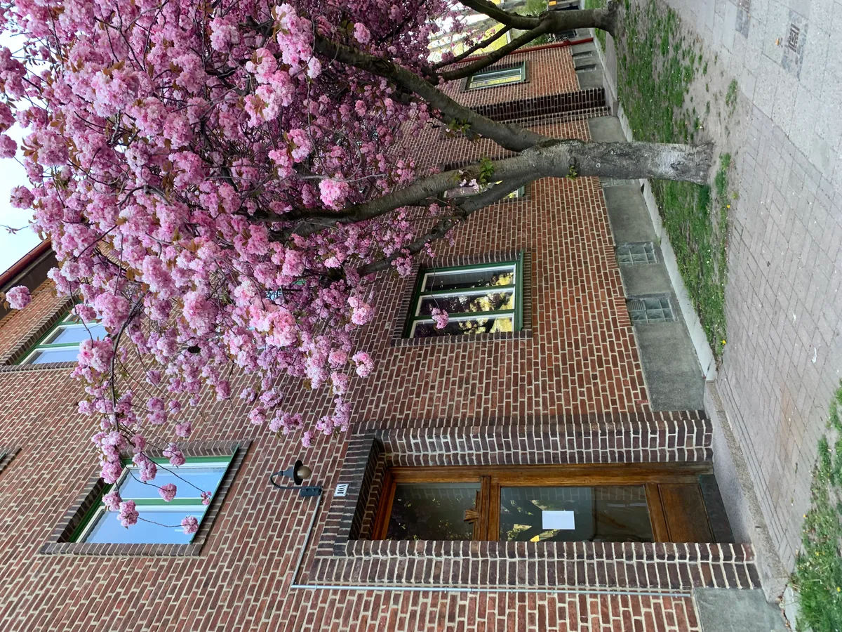 Hyreslägenhet på Malmö i malmo