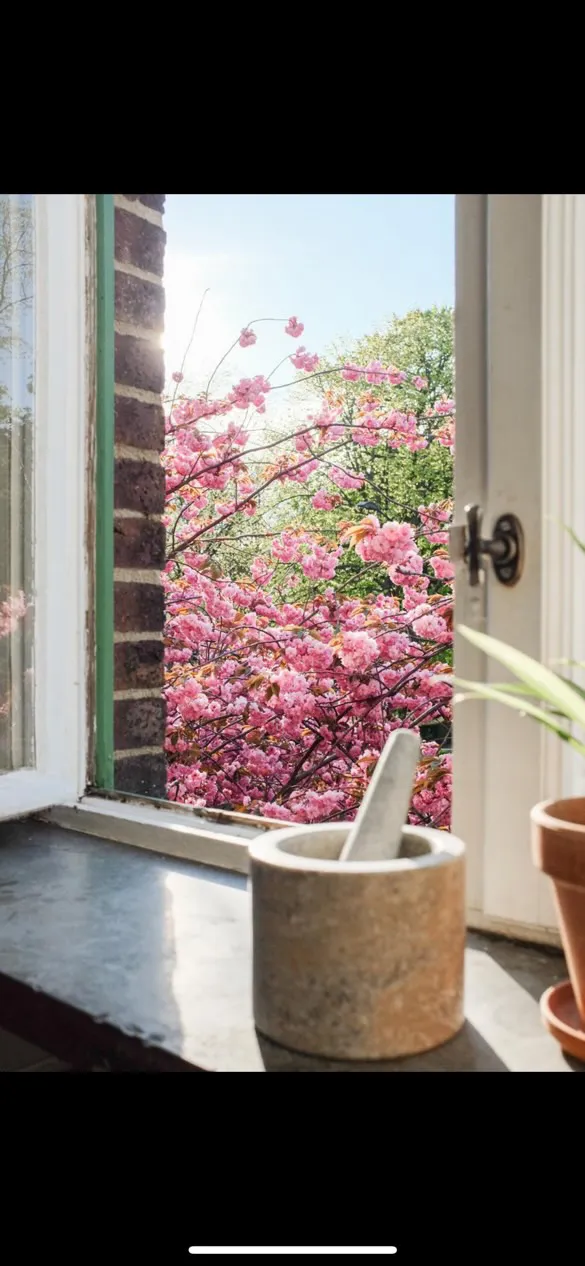 Hyreslägenhet på Malmö i malmo